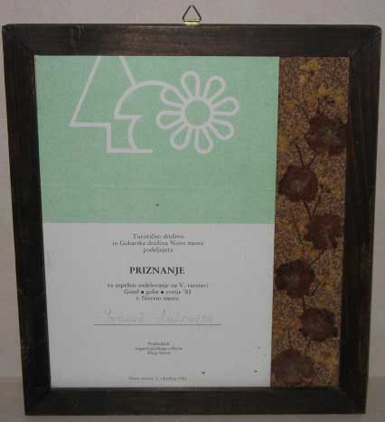 Antonija Ivanez award 3