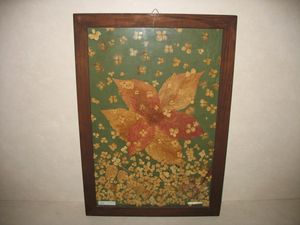 Flowers in autumn wind